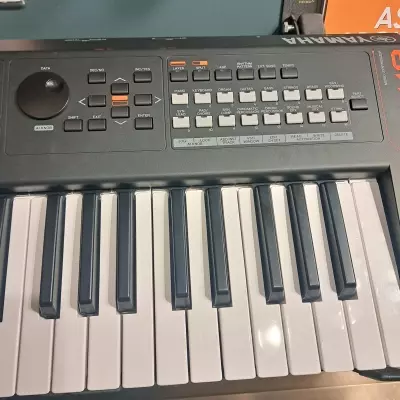 Yamaha - MX49 BK 2
